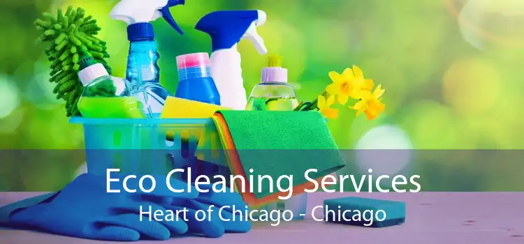 Eco Cleaning Services Heart of Chicago - Chicago
