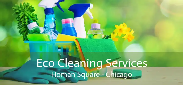 Eco Cleaning Services Homan Square - Chicago