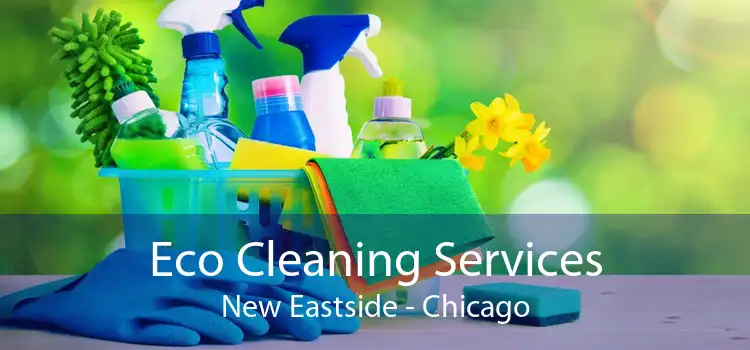 Eco Cleaning Services New Eastside - Chicago