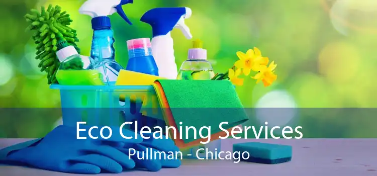 Eco Cleaning Services Pullman - Chicago