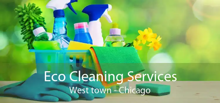 Eco Cleaning Services West town - Chicago