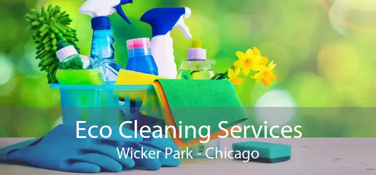 Eco Cleaning Services Wicker Park - Chicago