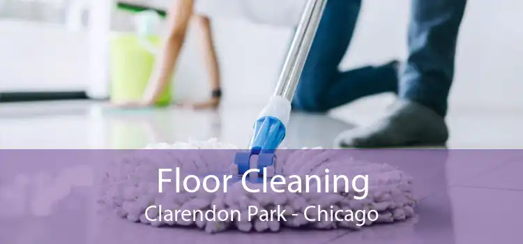 Floor Cleaning Clarendon Park - Chicago