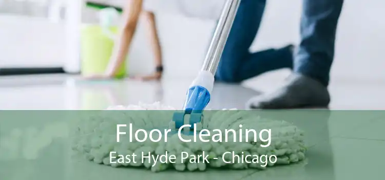 Floor Cleaning East Hyde Park - Chicago