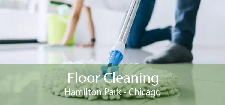 Floor Cleaning Hamilton Park - Chicago
