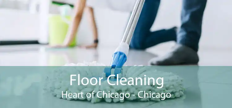 Floor Cleaning Heart of Chicago - Chicago