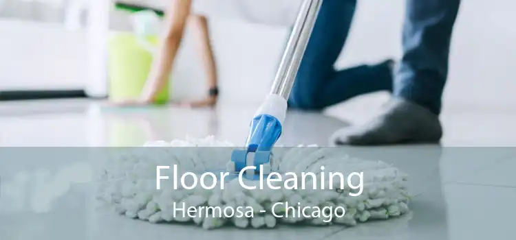 Floor Cleaning Hermosa - Chicago
