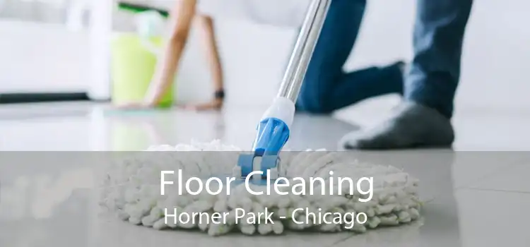 Floor Cleaning Horner Park - Chicago