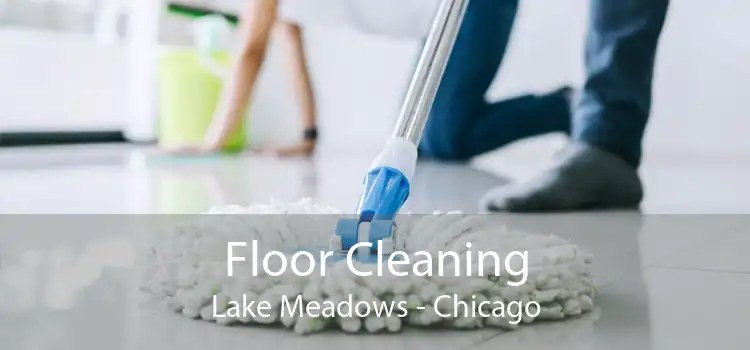 Floor Cleaning Lake Meadows - Chicago