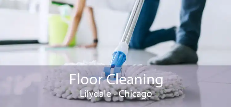 Floor Cleaning Lilydale - Chicago