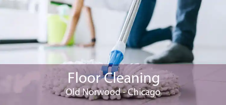 Floor Cleaning Old Norwood - Chicago