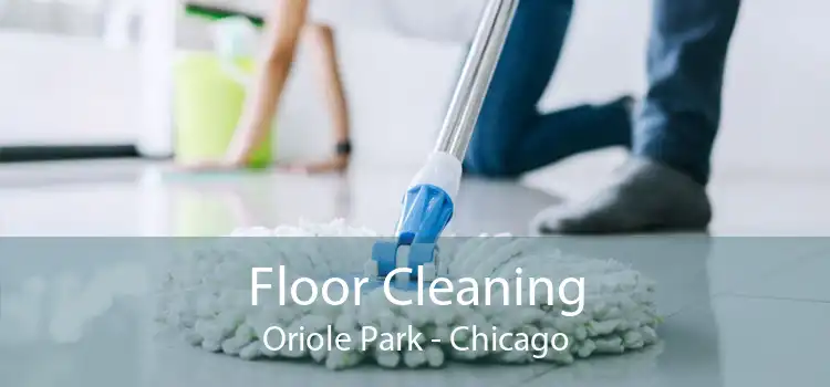 Floor Cleaning Oriole Park - Chicago