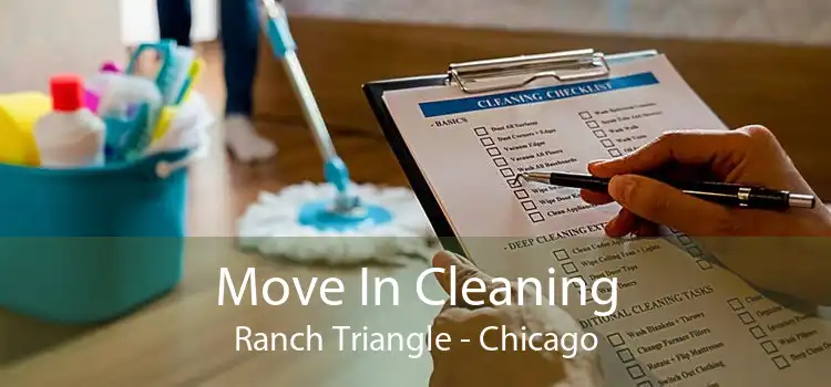 Move In Cleaning Ranch Triangle - Chicago