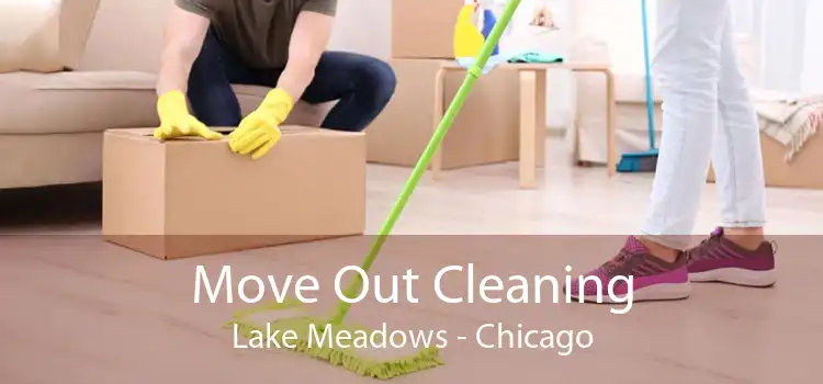 Move Out Cleaning Lake Meadows - Chicago