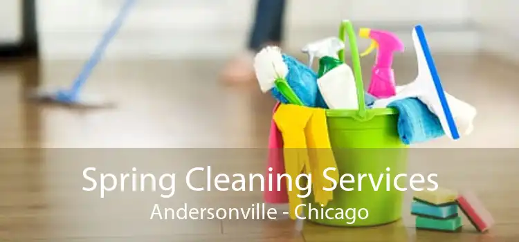 Spring Cleaning Services Andersonville - Chicago