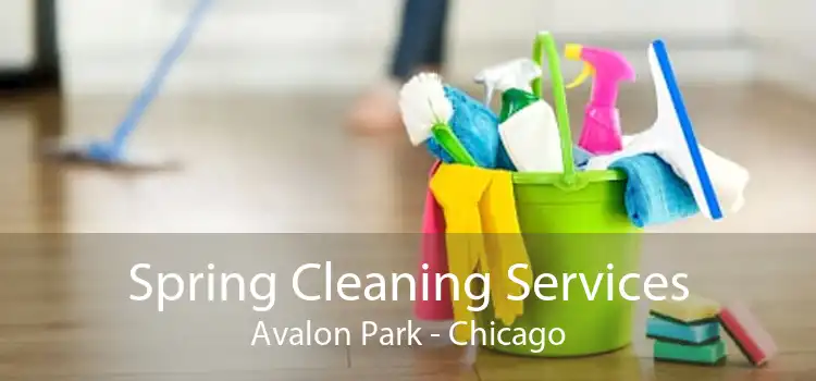 Spring Cleaning Services Avalon Park - Chicago