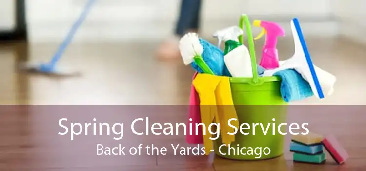 Spring Cleaning Services Back of the Yards - Chicago
