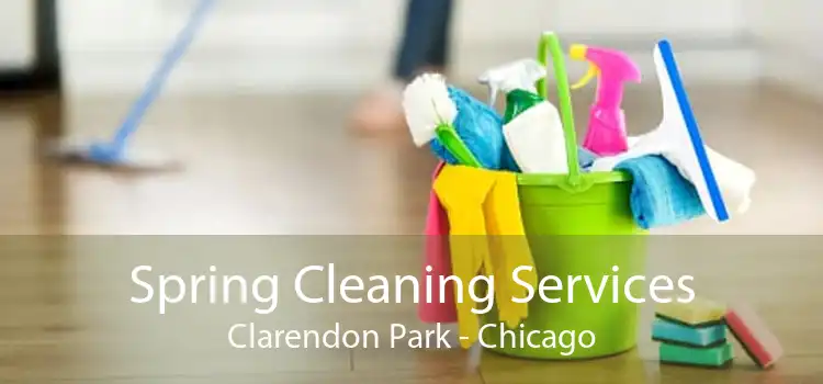 Spring Cleaning Services Clarendon Park - Chicago