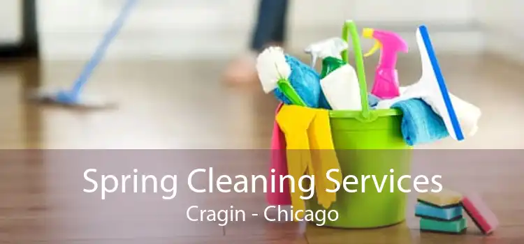 Spring Cleaning Services Cragin - Chicago