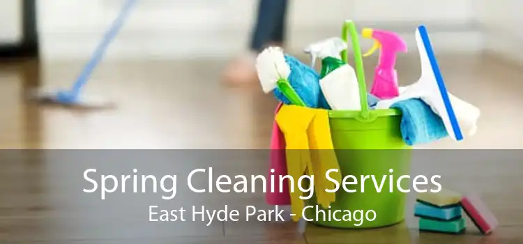 Spring Cleaning Services East Hyde Park - Chicago