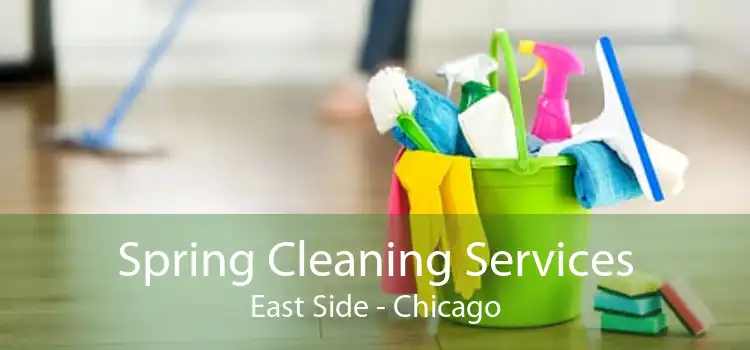 Spring Cleaning Services East Side - Chicago