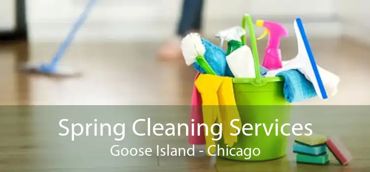 Spring Cleaning Services Goose Island - Chicago