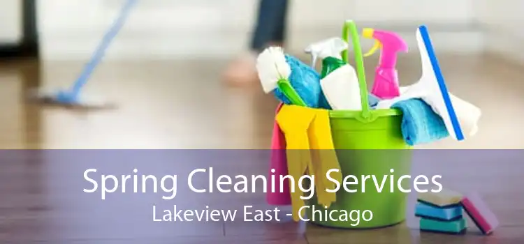 Spring Cleaning Services Lakeview East - Chicago