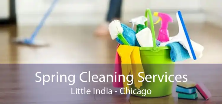 Spring Cleaning Services Little India - Chicago
