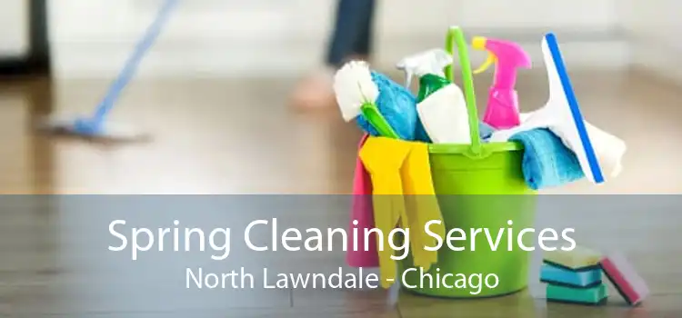 Spring Cleaning Services North Lawndale - Chicago