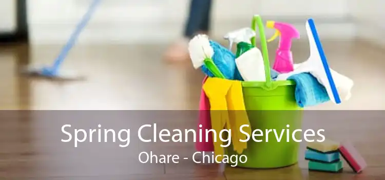 Spring Cleaning Services Ohare - Chicago