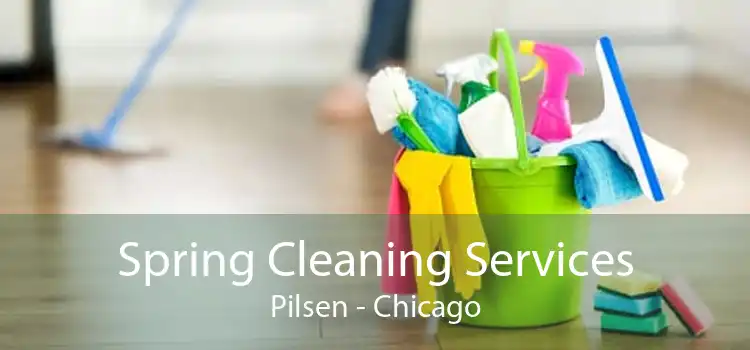 Spring Cleaning Services Pilsen - Chicago