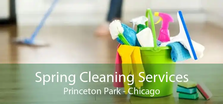 Spring Cleaning Services Princeton Park - Chicago