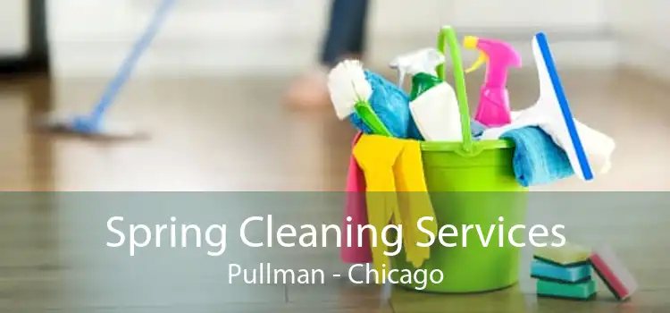 Spring Cleaning Services Pullman - Chicago
