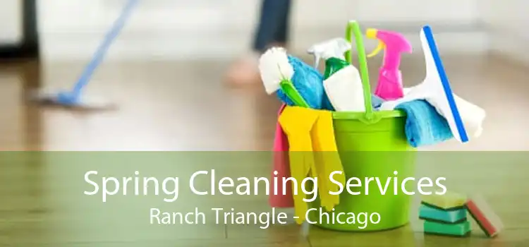 Spring Cleaning Services Ranch Triangle - Chicago