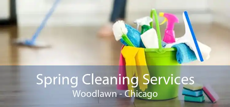 Spring Cleaning Services Woodlawn - Chicago