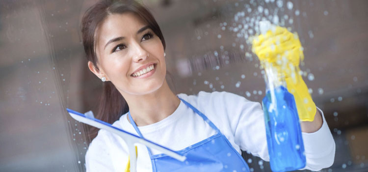 Eco Cleaning Services Near Me in West Humboldt Park, Chicago