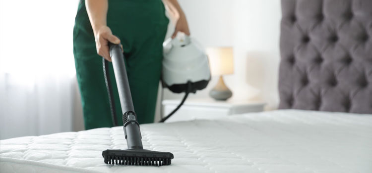 Master Bedroom Cleaning in Edgebrook, Chicago